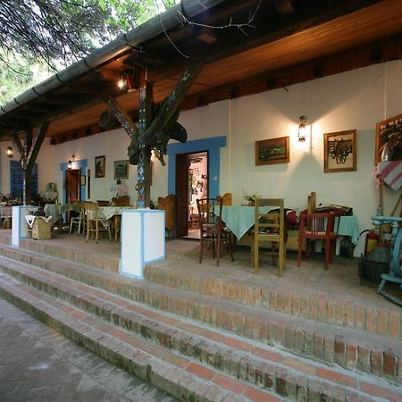 Salas 137 Cenej Exterior photo